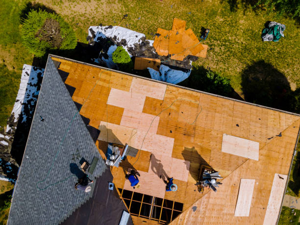 Best Commercial Roofing Services  in Percy, IL
