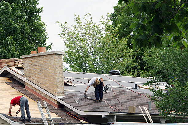 Best Roof Gutter Cleaning  in Percy, IL