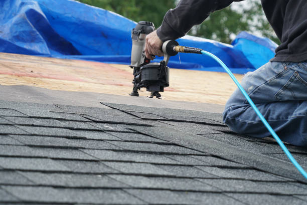 Roof Gutter Cleaning in Percy, IL