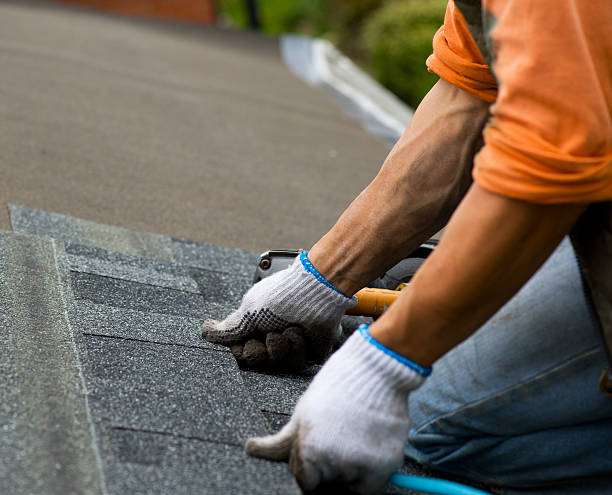 Best Commercial Roofing Services  in Percy, IL
